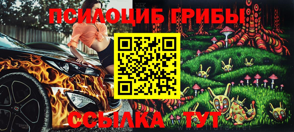 где найти   Галлюциногенные грибы ЛСД  Строитель  Вход с VPN  Псилоцибиновые грибы Psilocybine cubensis 